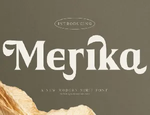 Merika font