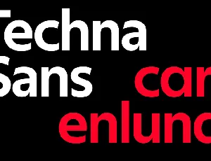 Techna Sans font