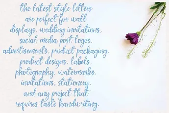 Butterfly Script font