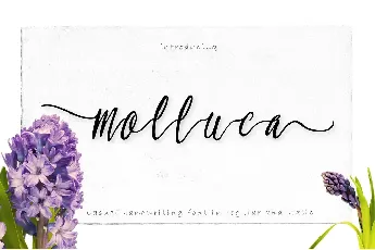 Molluca Script font