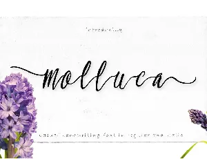 Molluca Script font