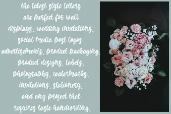 Brilli craf Display font