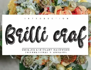 Brilli craf Display font