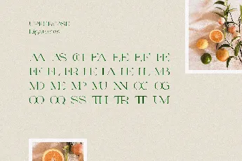 Milssky font