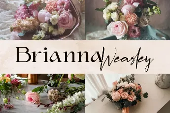 Brianna Weasley Demo font