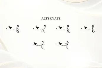 Elegant Script Typeface font