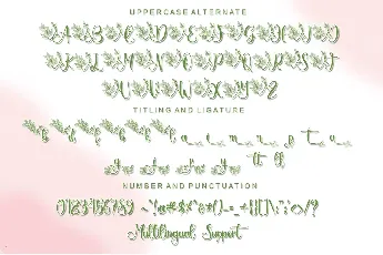 Springbee - Personal Use font