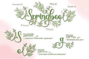 Springbee - Personal Use font