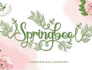 Springbee - Personal Use font