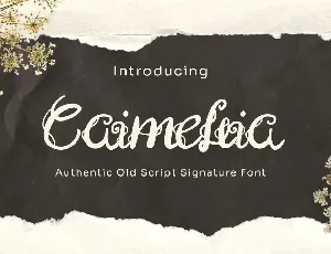 Caimellia font