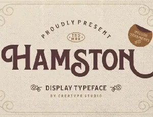 Hamston Display font