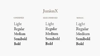 JuniusX Serif Family font