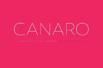 Canaro Sans Family font