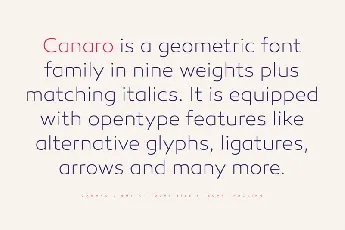 Canaro Sans Family font