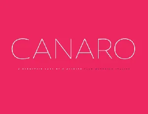 Canaro Sans Family font