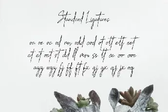 Handikraf Signature font