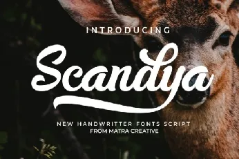 Scandya font