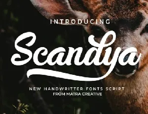 Scandya font