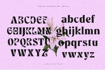 KLOREDEMO font