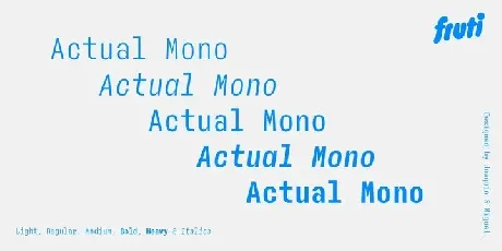 Actual Mono font