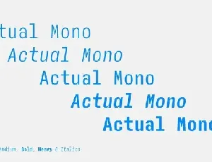 Actual Mono font