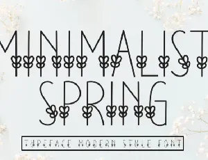 Minimalist Spring Display font