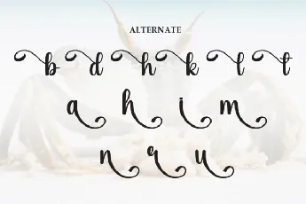 Beach Crab Script font