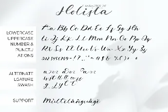 Holista Demo font