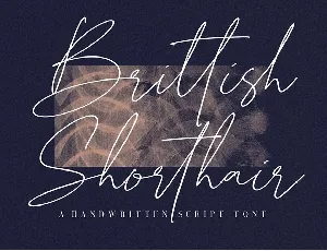 Brittish Sorthair font