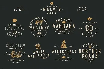 Melvis Vintage Family font