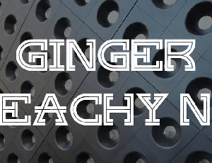 Ginger Peachy NF font