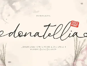 Donatellia Signature font