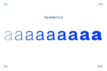 Standerd Sans Serif font