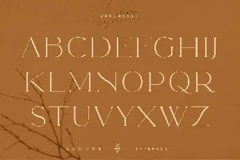 Paris Lamore Typeface font