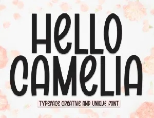 Hello Camelia Display font