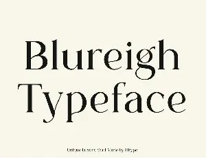 Blureigh font