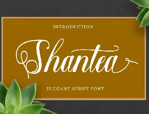 Shantea Script font