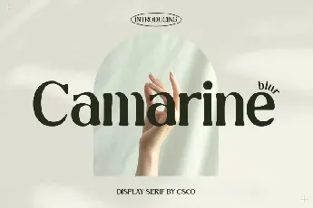 Camarine Blur font