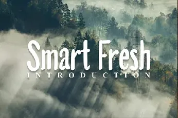 Smart Fresh Display font