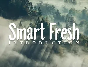 Smart Fresh Display font