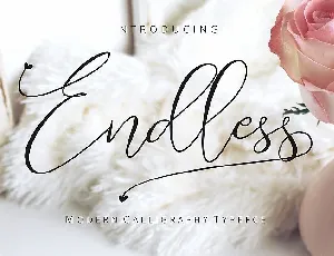 Endless Script font