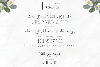 Freakouts Duo font