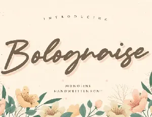 Bolognaise Monoline Handwritten font