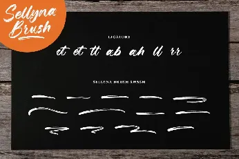 Sellyna Brush font