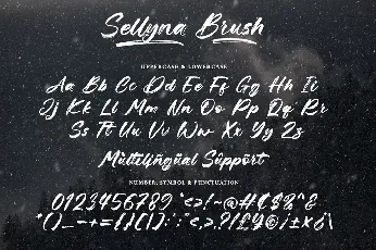 Sellyna Brush font