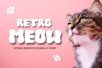 RETRO MEOW font