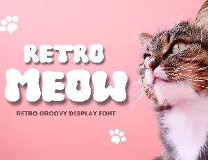 RETRO MEOW font