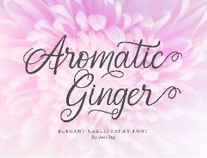 Aromatic Ginger Demo font