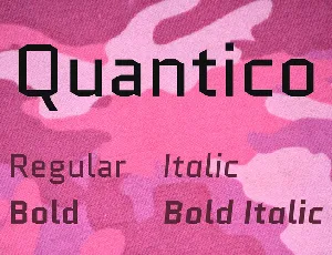 Quantico font