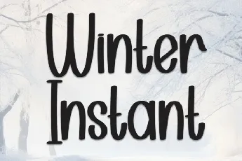 Winter Instant Display font